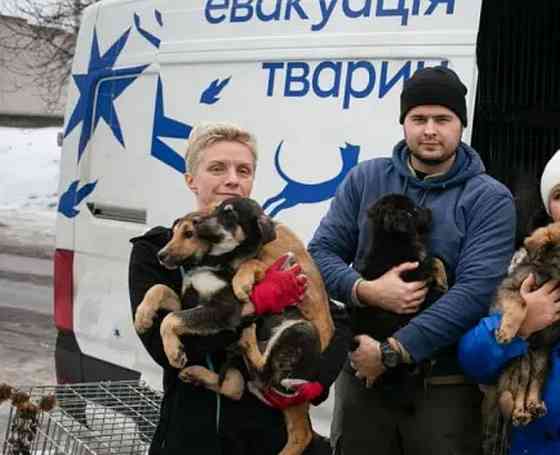 Скажи мне птица, помог сильно Донецк