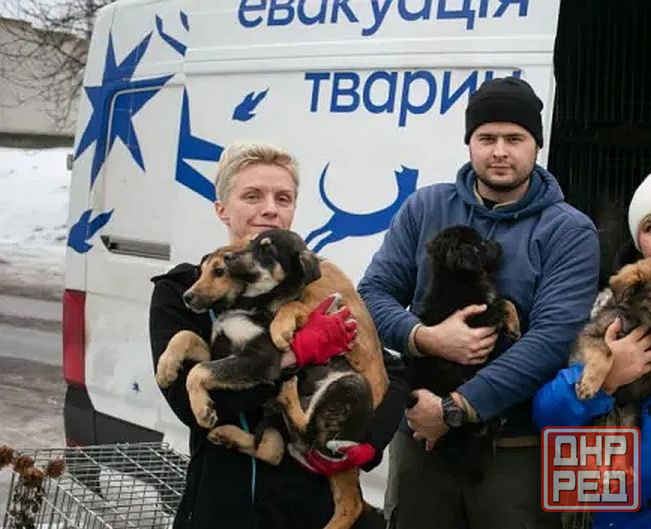 Скажи мне птица, помог сильно Донецк - изображение 1