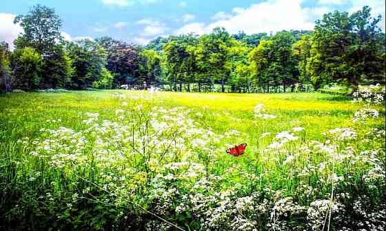25 соток! Госакт! Улица Плещеева. Донецк
