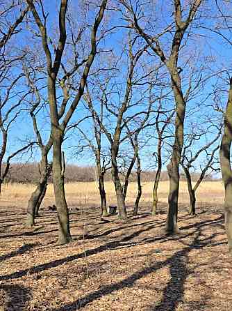 25 соток! Госакт! Улица Плещеева. Донецк