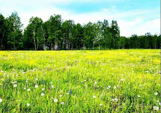 25 соток! Госакт! Улица Плещеева. Донецк