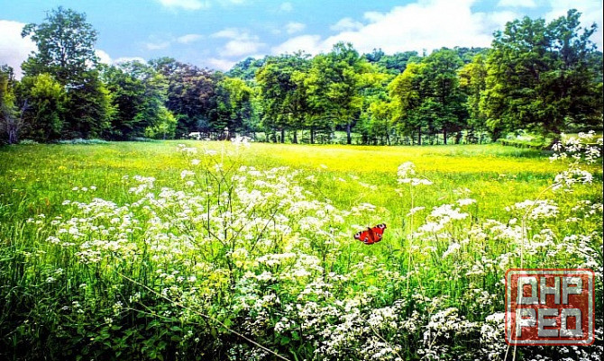 25 соток! Госакт! Улица Плещеева. Донецк - изображение 1