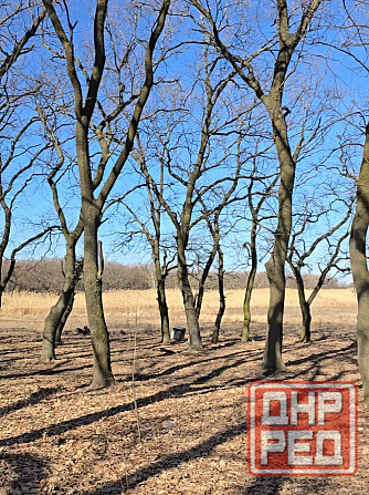 25 соток! Госакт! Улица Плещеева. Донецк - изображение 3