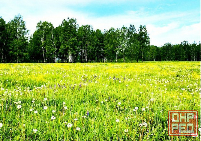 25 соток! Госакт! Улица Плещеева. Донецк - изображение 2