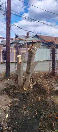 Подрезка. Спил. Корчевание пней. Донецк