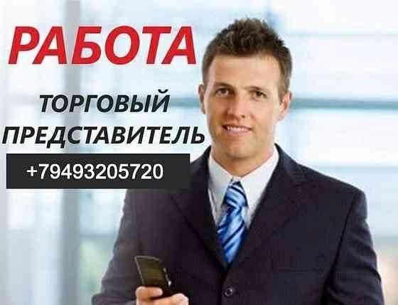 Торговый агент без опыта без авто Донецк