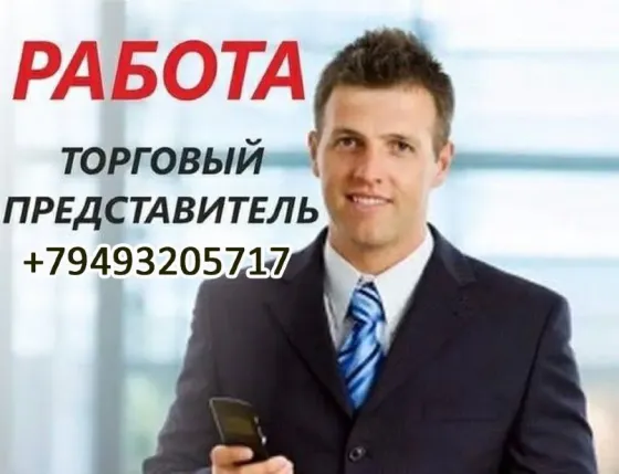 Срочно торговый представитель Донецк