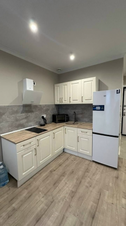 Сдается уютная однокомнатная квартира-студия в Ленинском районе, ориентир Ленинский проспект. Донецк