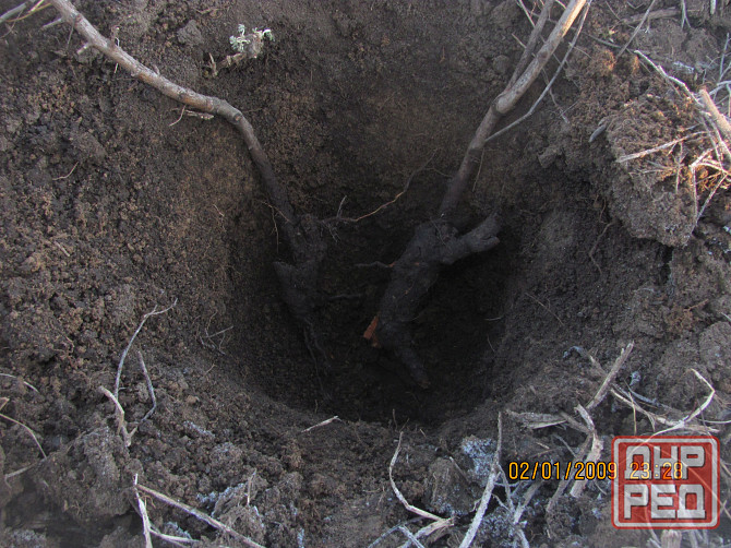 Пусть кроет так.наз. "Полиция" Донецк - изображение 1