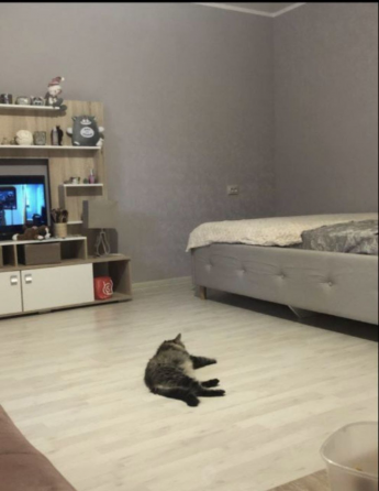 Днр, г.Донецк, Ленинский район, мариупольская развилка, улица днепродзержинская 11 Донецк