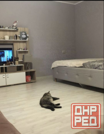 Днр, г.Донецк, Ленинский район, мариупольская развилка, улица днепродзержинская 11 Донецк - изображение 3