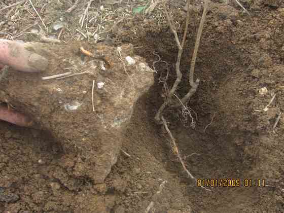 Которы охран 5см. Blackwaters Донецк