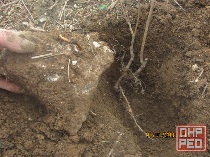 Которы охран 5см. Blackwaters Донецк - изображение 1