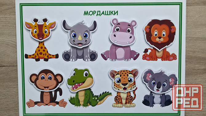 Мордашки (Жаркие страны) Донецк - изображение 1