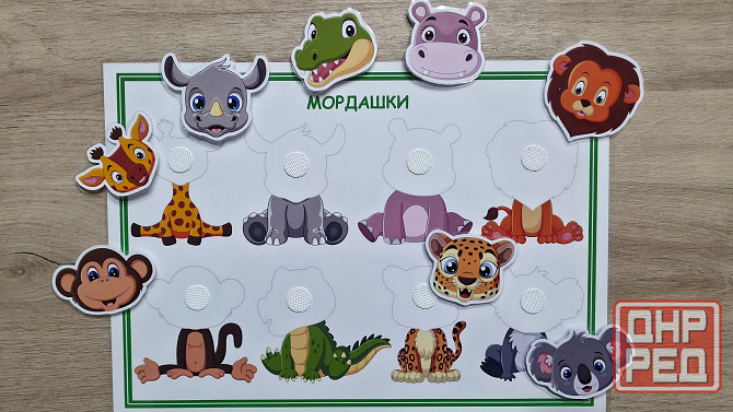 Мордашки (Жаркие страны) Донецк - изображение 2