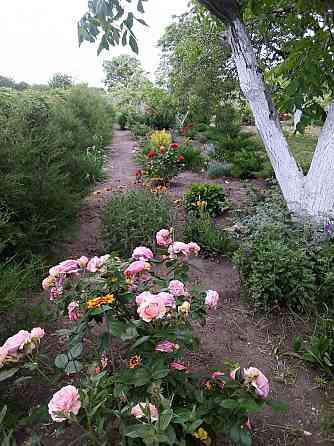 Продажа дома Мариуполь