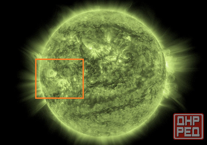 Собачка и прямо у Гпнд ножом Донецк - изображение 1