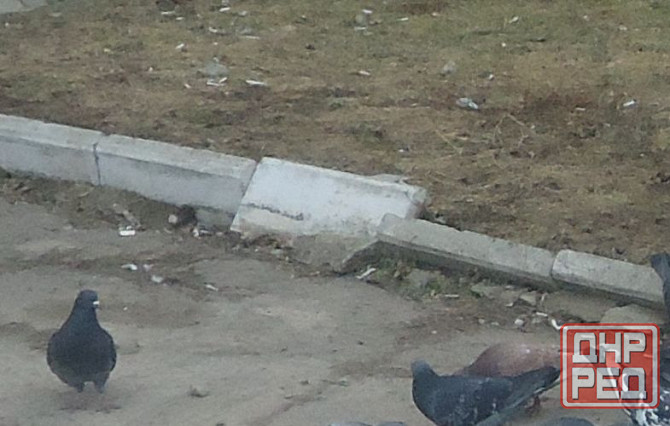 Чикатило, лично красную пасту Донецк - изображение 1