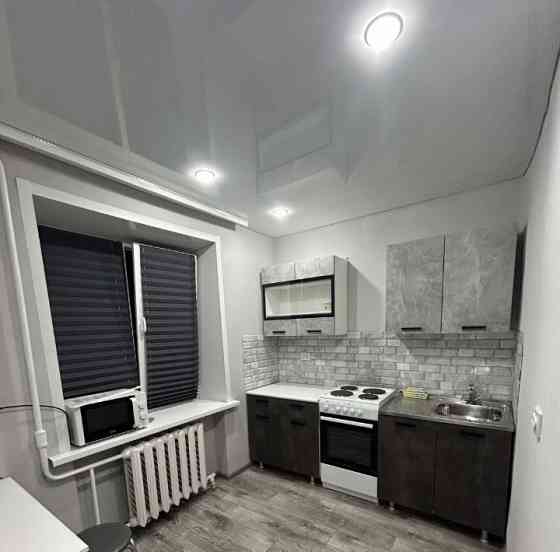 Ленинский р-н, ориентир Цирк. Донецк