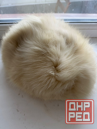 Шапка меховая, винтажные шапки Донецк - изображение 4