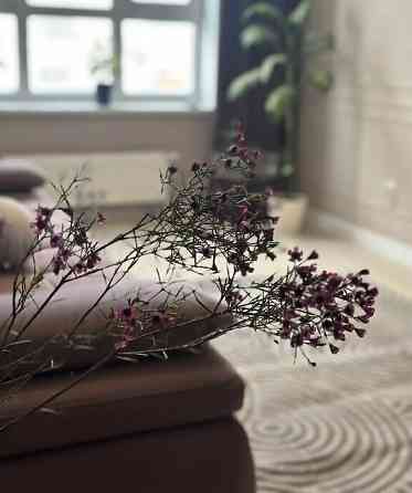 Сдаю двухкомнатную квартиру 53.0 м² этаж 2. Калининский район. ориентир бульвар Шевченко Донецк