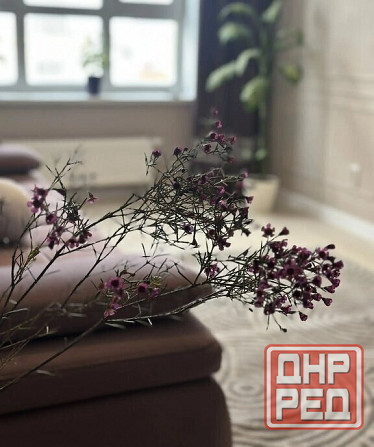 Сдаю двухкомнатную квартиру 53.0 м² этаж 2. Калининский район. ориентир бульвар Шевченко Донецк - изображение 2