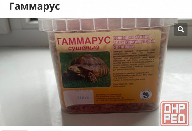 Гаммарус Донецк - изображение 1