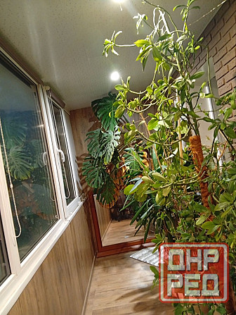 Продам 2 ком кв Боссе Донецк - изображение 1