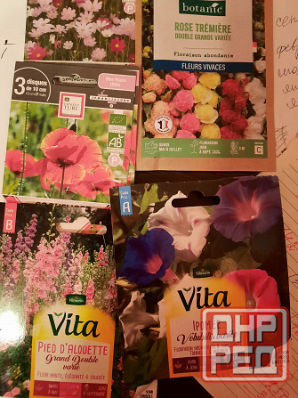 семена цветов Донецк - изображение 1