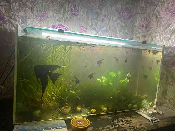 Аквариум 110 литров Донецк
