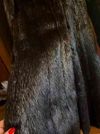 Шуба женская нутрия 50 размер Донецк