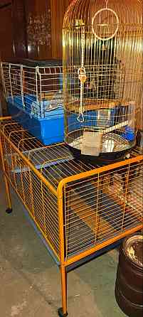 Продаются клетки для шиншилл, кроликов, морских свинок, крыс или других подобных животных. Донецк