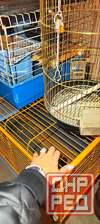 Продаются клетки для шиншилл, кроликов, морских свинок, крыс или других подобных животных. Донецк - изображение 3
