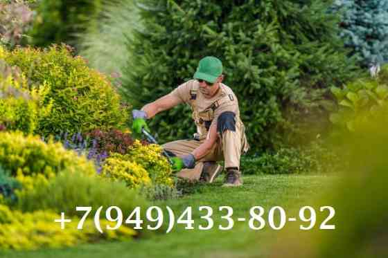 Озеленитель территории( дача) Донецк