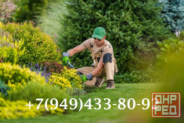 Озеленитель территории( дача) Донецк - изображение 1