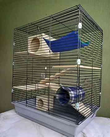 Шиншиллы редких окрасов мальчики и девочки Донецк