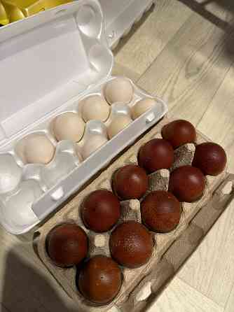 Продам инкубационное яйцо карликового кохинхина и марана Горловка