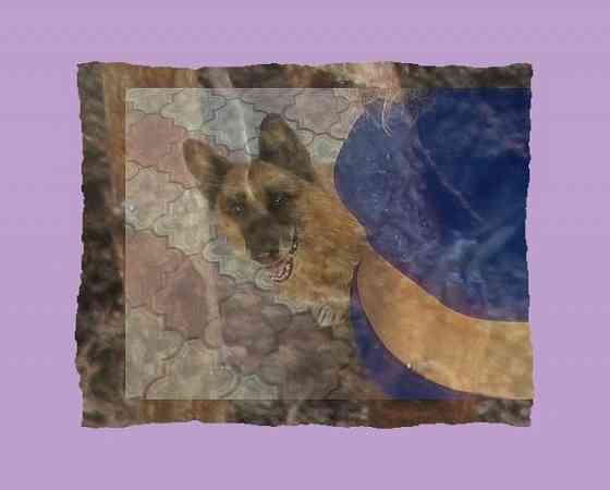 Пусть даже с "3 пядями" во лбу Донецк