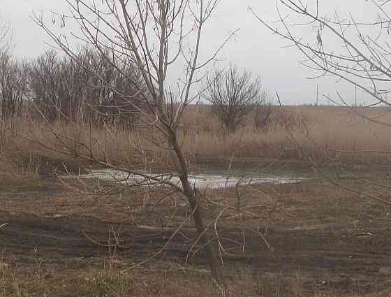 Ударился изем растрел тюрьма Донецк