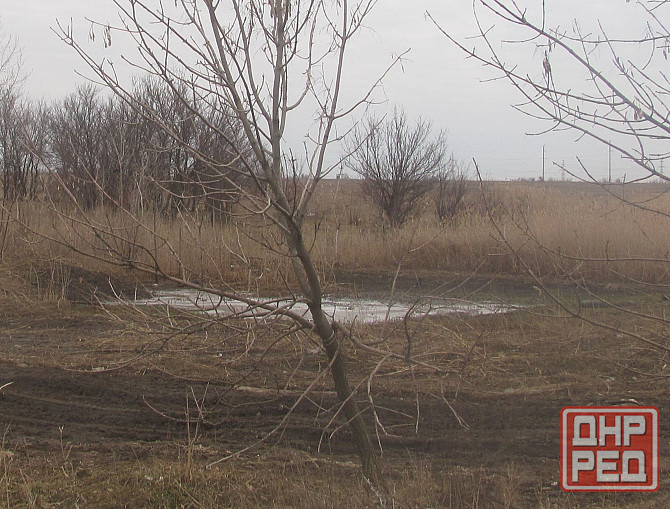 Ударился изем растрел тюрьма Донецк - изображение 1