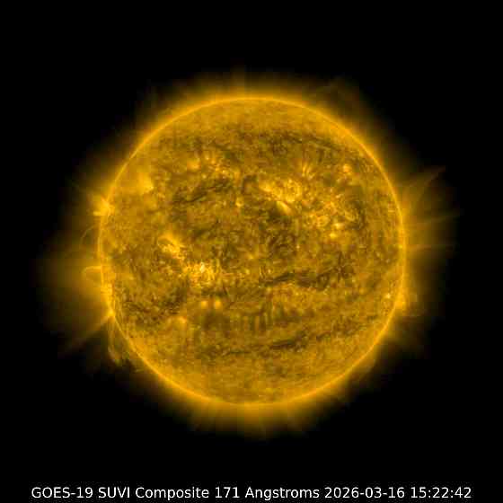 Уваж Газманова, со Щетинина Донецк