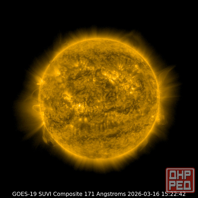 Уваж Газманова, со Щетинина Донецк - изображение 1