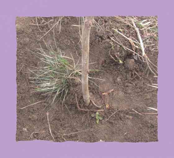 На компьютере "Парус" вещи* Донецк