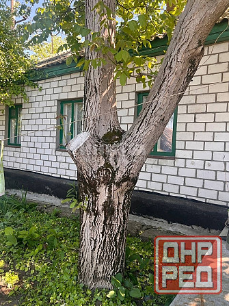 Продам 2 Дома 22-я Линия Центр Города Луганск - изображение 8