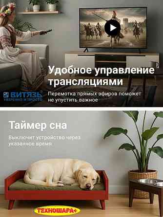 43" тв Витязь D43FN01BF. FullHD|тюнерТ2|USB|HDMi|Time Shift Донецк