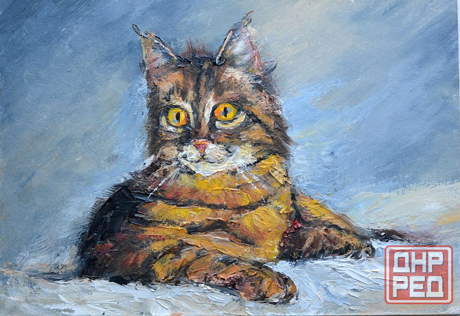 Купить картину маслом "Котик", Распродажа картин купить у художника Донецк - изображение 1