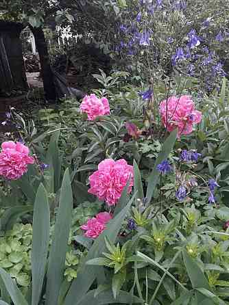 Продам дом с земельным участком в г. Иловайск Иловайск