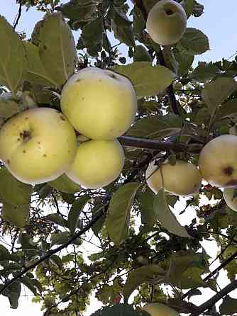 Продам дом с земельным участком в г. Иловайск Иловайск