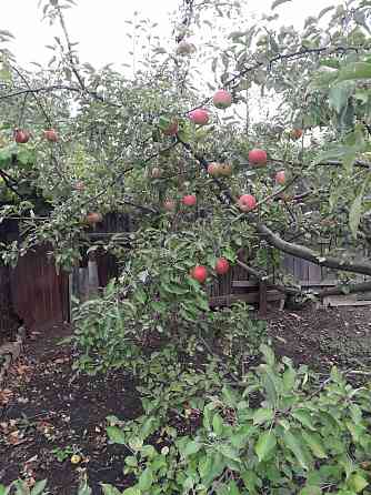 Продам дом с земельным участком в г. Иловайск Иловайск