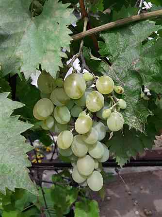 Продам дом с земельным участком в г. Иловайск Иловайск